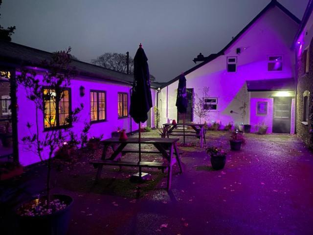 The Thelbridge Cross Inn 크레디톤 외부 사진